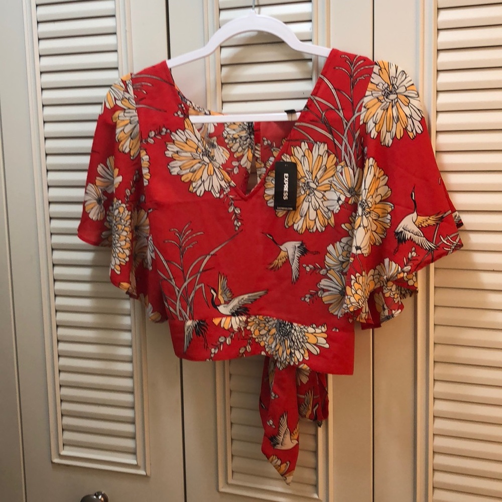 Express xs crop top